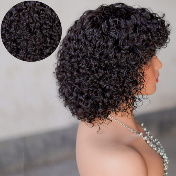 Human Hair Curly Wig