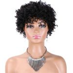 Short curly human hair wig pixie cut wigs