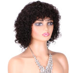 Human Hair Curly Wig